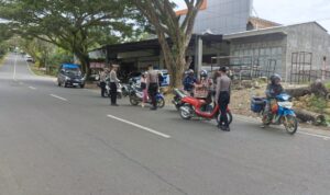 IMG-20250212-WA0002