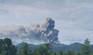 IMG-20250212-WA0062