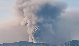 IMG-20250220-WA0065