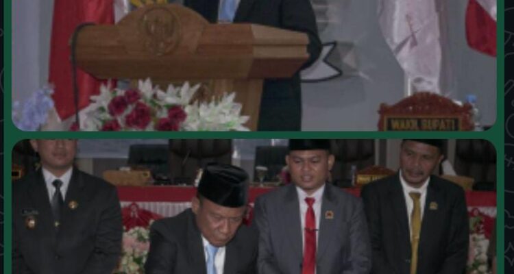 IMG-20250321-WA0013