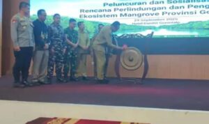 IMG-20250929-WA0095(1)