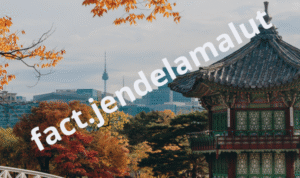 Latest facts today (37)
