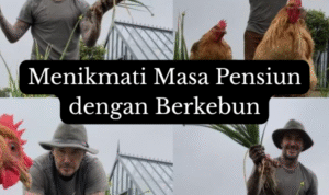 Teks paragraf Anda (48)