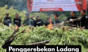 Teks paragraf Anda (73)