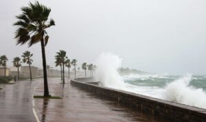 IMG-20260123-WA0019